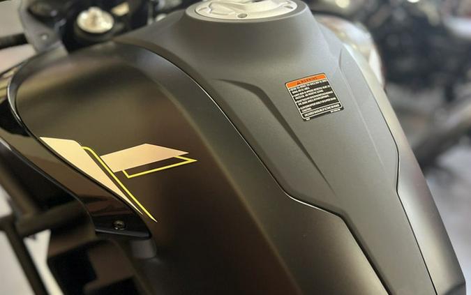 2026 CFMOTO IBEX 800 E