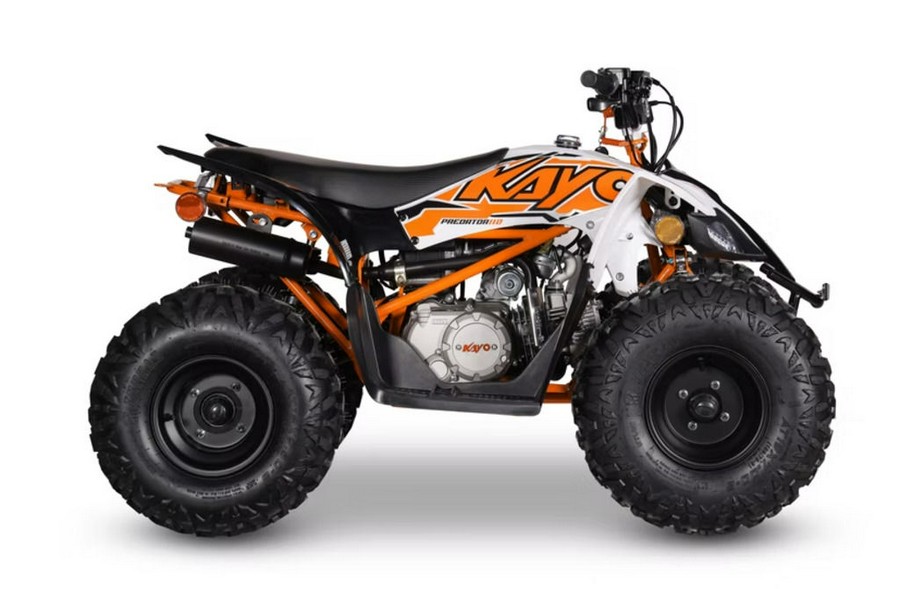 2026 Kayo PREDATOR 110