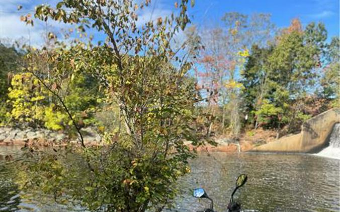 2025 Honda CB750 Hornet