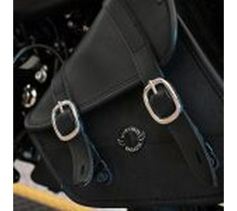 2020 Harley Davidson Iron 883