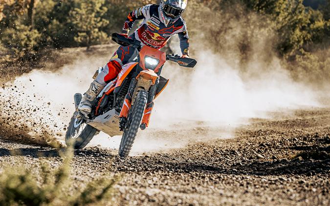 2025 KTM 390 ENDURO R - 201156 S
