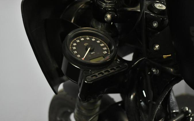 2022 Harley-Davidson Iron 883