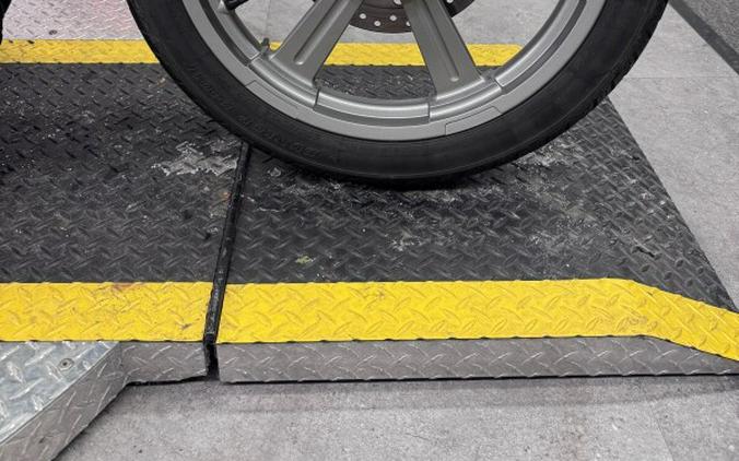 2023 FXST Softail® Standard