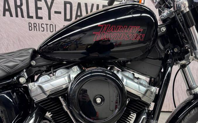 2023 FXST Softail® Standard