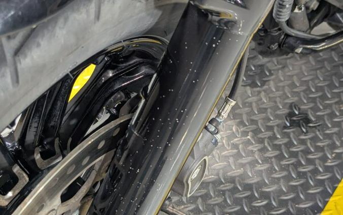 2017 Harley-Davidson® Forty-Eight® Crushed Ice Denim