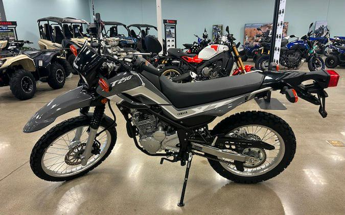 2025 Yamaha XT 250