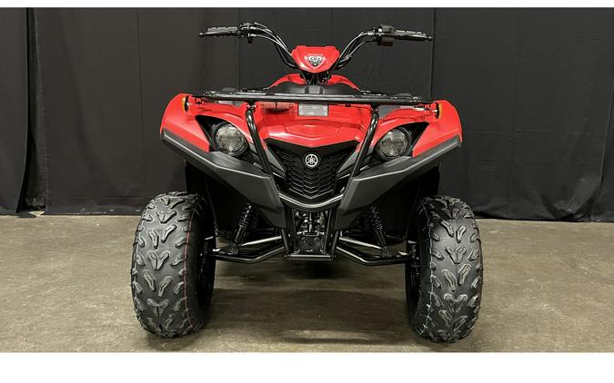 2025 Yamaha Grizzly 110