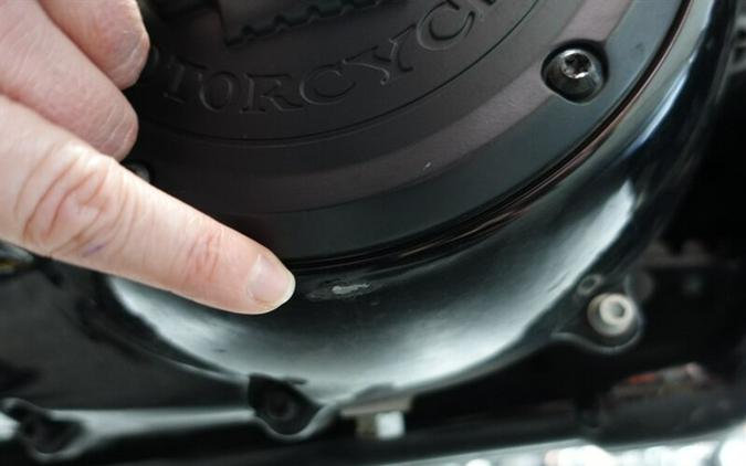 2020 Harley-Davidson Road Glide Special