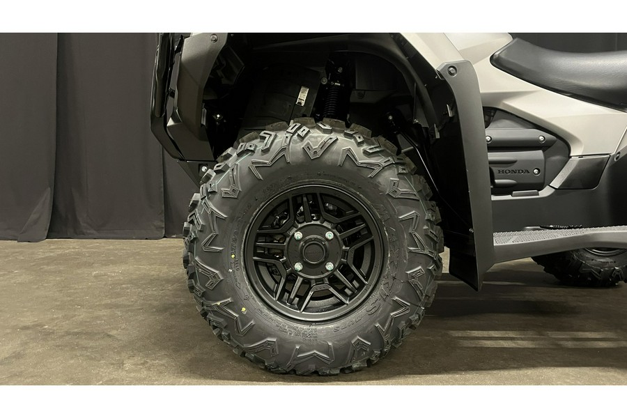 2026 FourTrax Rubicon 700 4x4 Automatic - Honda