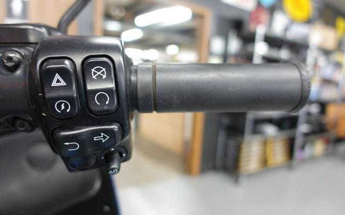 2023 Harley-Davidson Road Glide ST