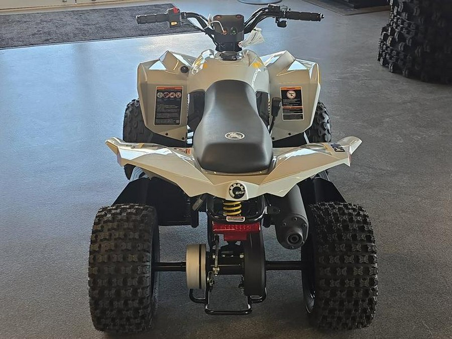 2026 Can-Am® Renegade 70 EFI