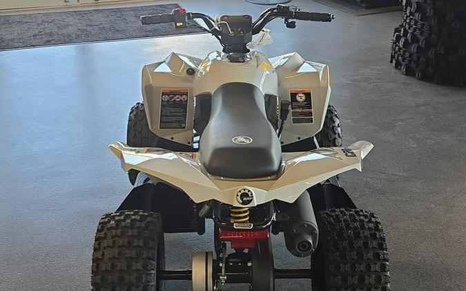 2026 Can-Am® Renegade 70 EFI