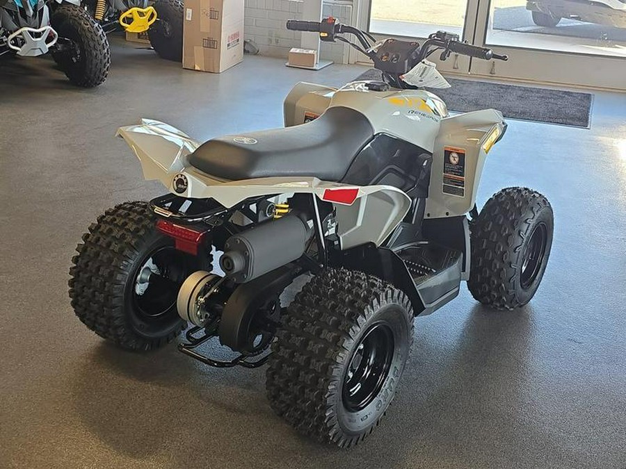 2026 Can-Am® Renegade 70 EFI