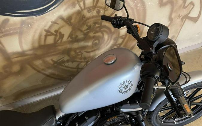 2020 Harley-Davidson® XL883N - Sportster® Iron 883™