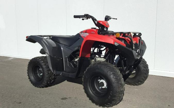 2025 Yamaha Grizzly 110