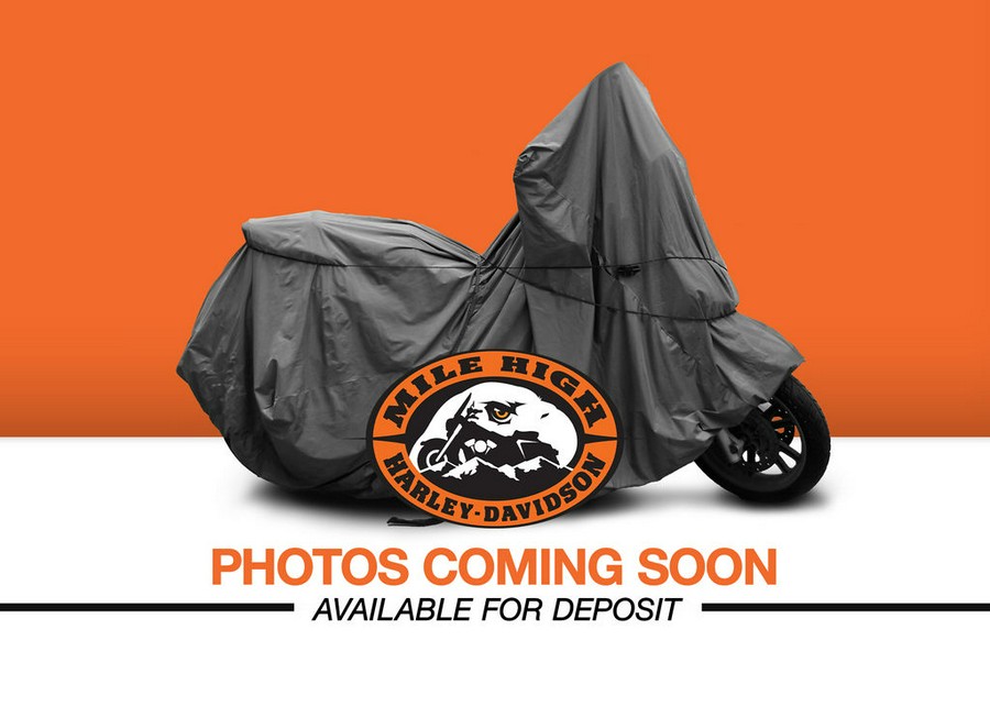 2012 Harley-Davidson® FLSTN - Softail® Deluxe