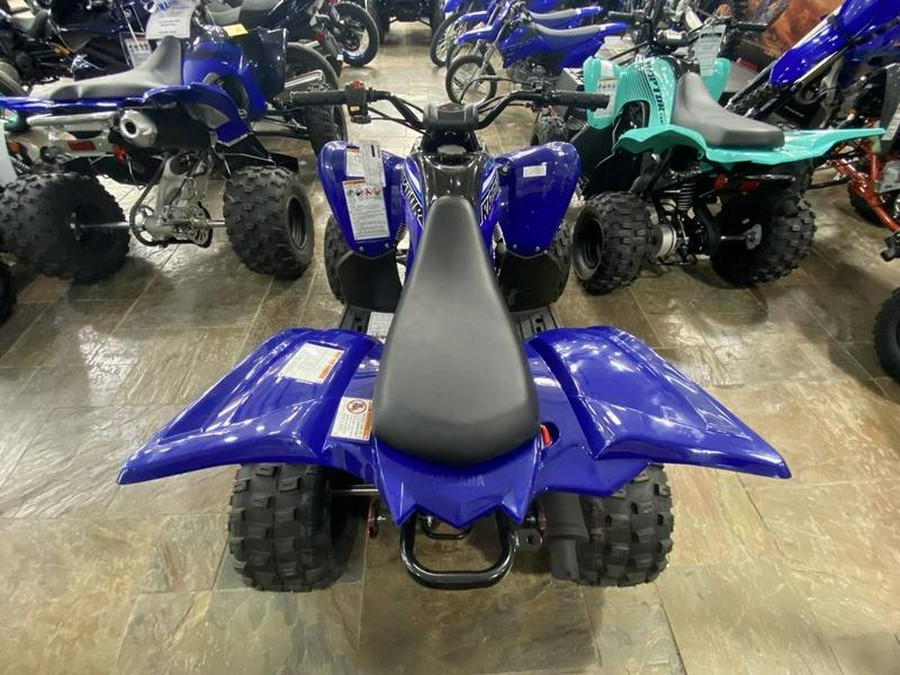 2023 Yamaha Raptor 90