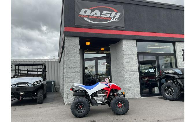 2026 TRX® 250X - Honda