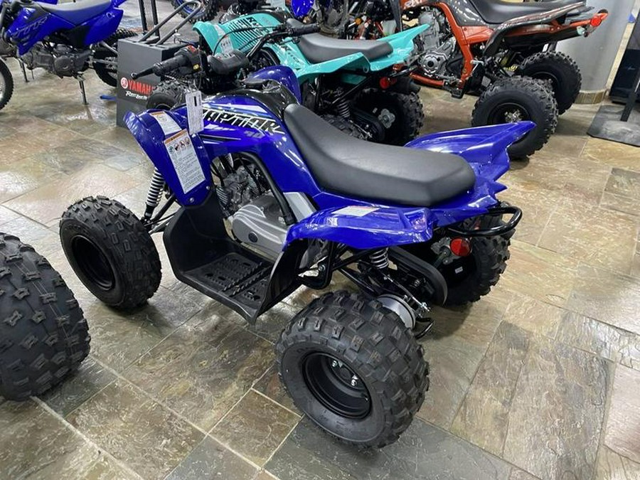 2023 Yamaha Raptor 90