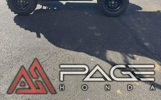 2025 Honda® Pioneer 1000-5