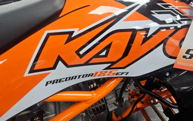 2026 Kayo Predator 125 EFI