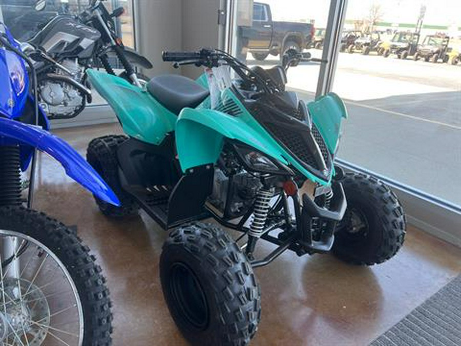 2024 Yamaha Raptor 110