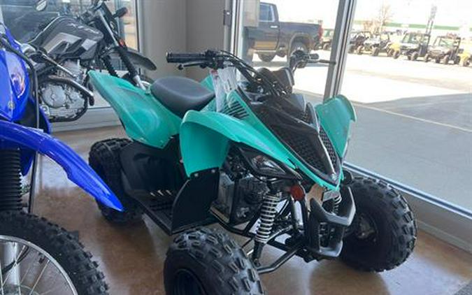 2024 Yamaha Raptor 110