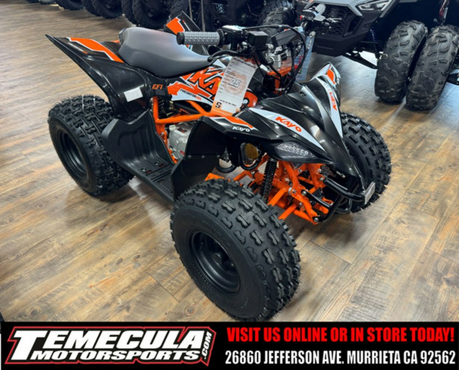 2026 Kayo Predator 125