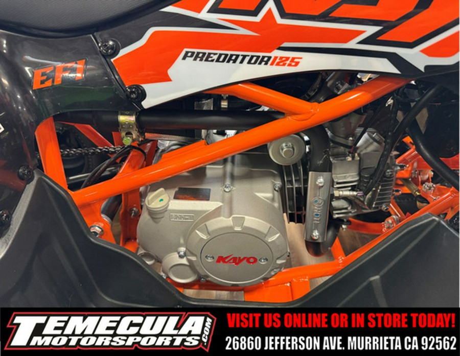 2026 Kayo Predator 125