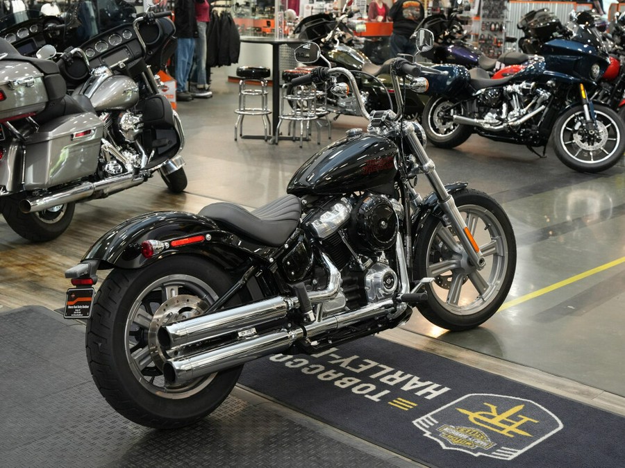 Used 2024 Harley-Davidson Softail Standard Motorcycle For Sale In Raleigh, North Carolina