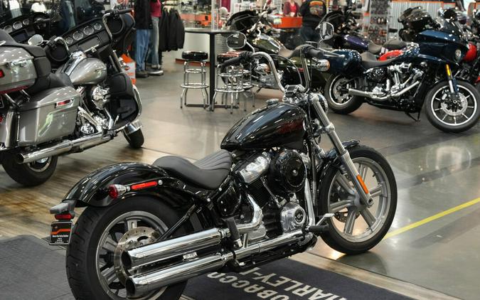Used 2024 Harley-Davidson Softail Standard Motorcycle For Sale In Raleigh, North Carolina