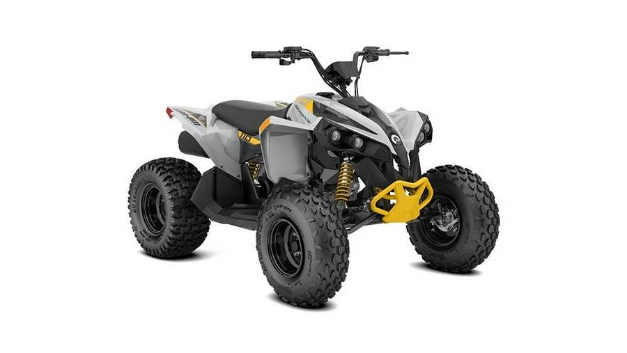 2023 Can-Am RENEGADE