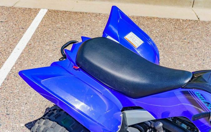 2025 Yamaha Raptor 110