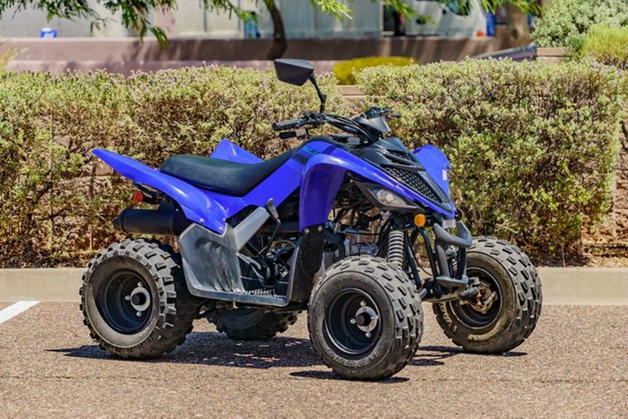 2025 Yamaha Raptor 110