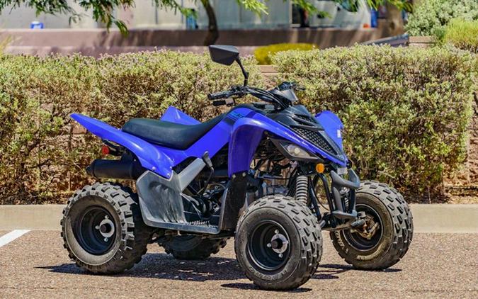 2025 Yamaha Raptor 110