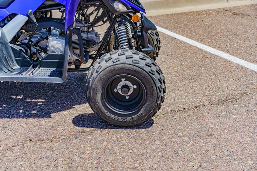 2025 Yamaha Raptor 110