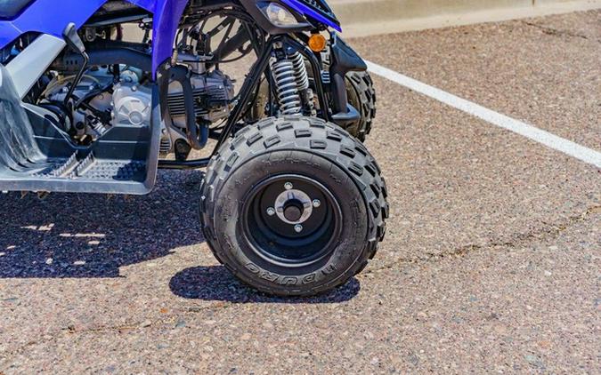 2025 Yamaha Raptor 110