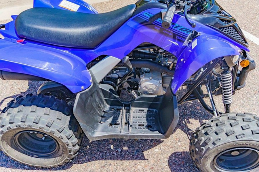 2025 Yamaha Raptor 110
