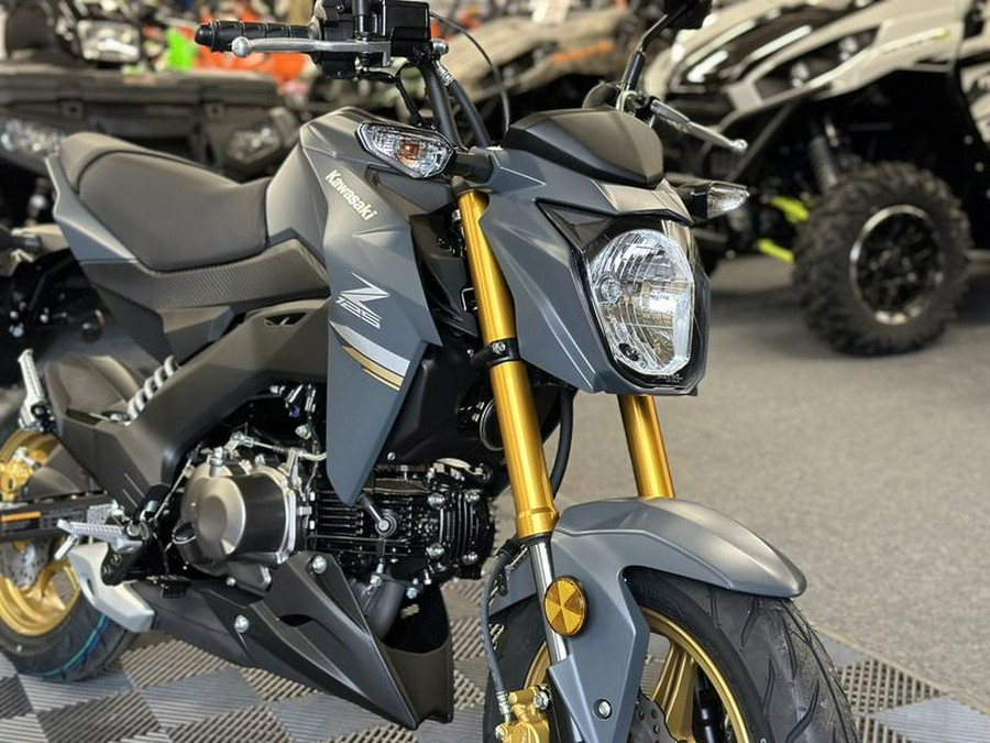 2024 Kawasaki Z125 PRO