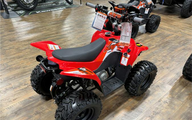 2026 Kayo Fox / Storm 70