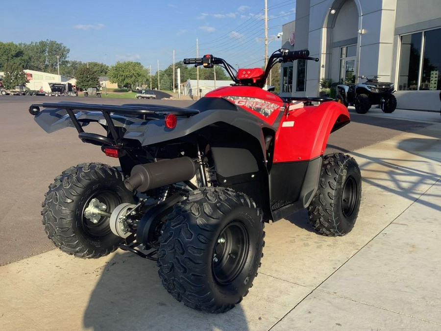 2025 Yamaha Grizzly 110