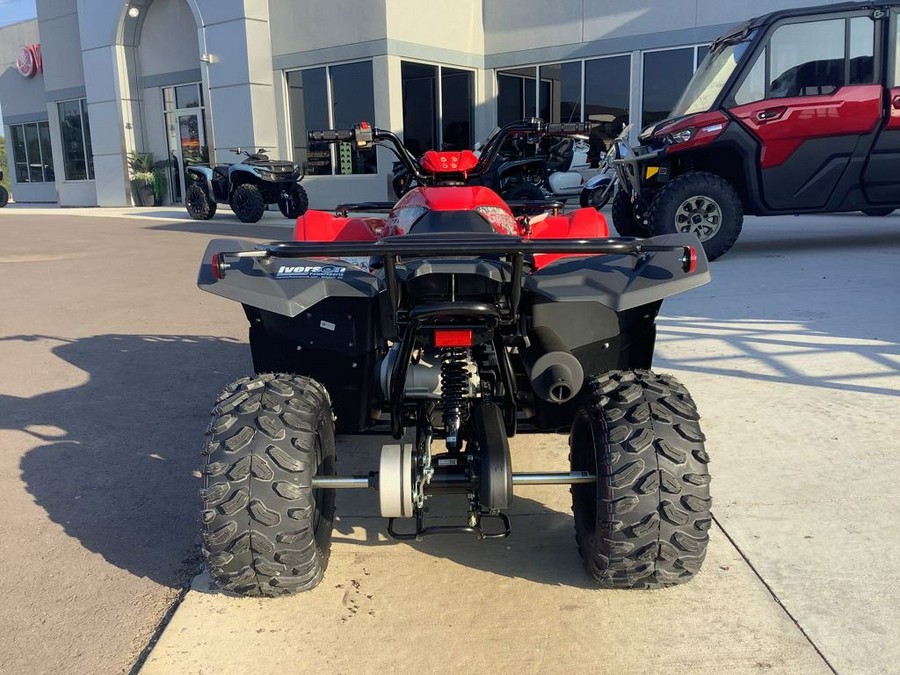 2025 Yamaha Grizzly 110