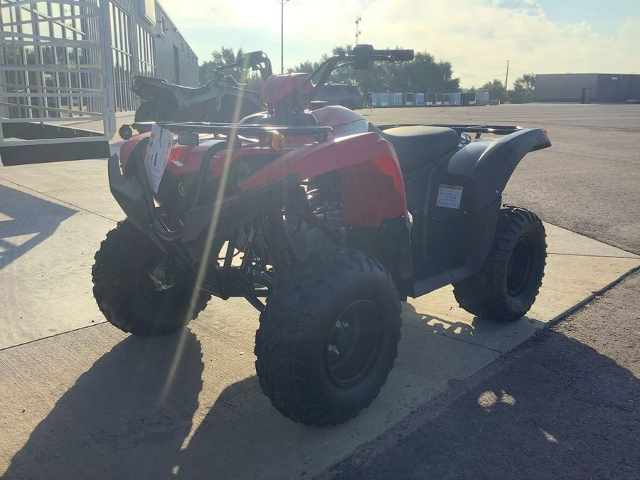 2025 Yamaha Grizzly 110