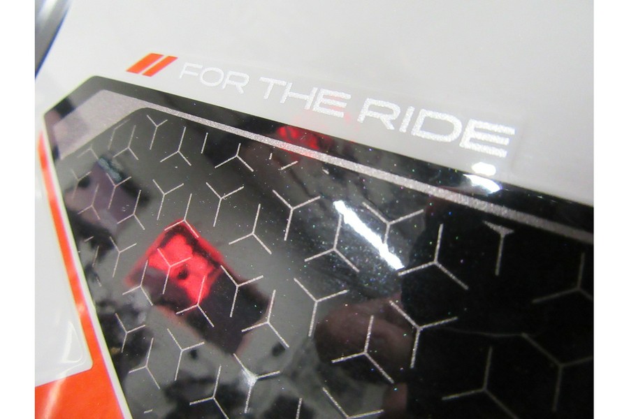 2025 TIGER RALLY PRO 900 - Triumph