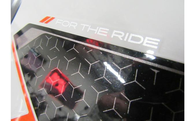 2025 TIGER RALLY PRO 900 - Triumph