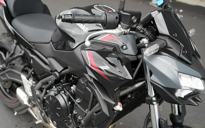 2025 Kawasaki Z650