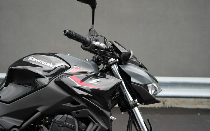 2025 Kawasaki Z650