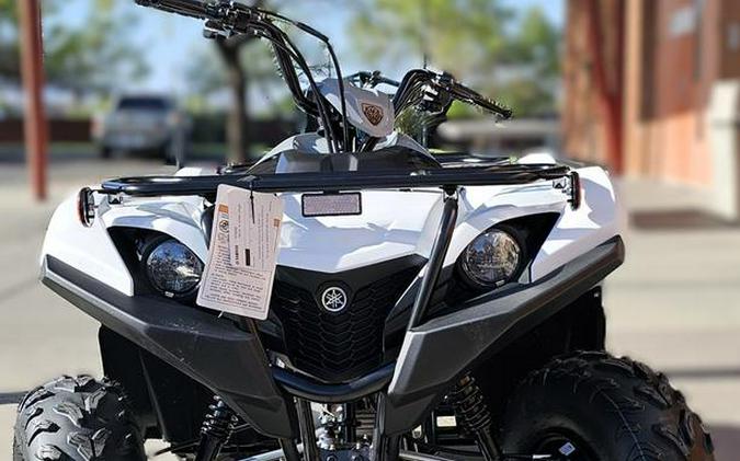 2024 Yamaha Grizzly 90