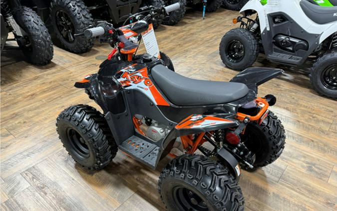 2026 Kayo Fox / Storm 70