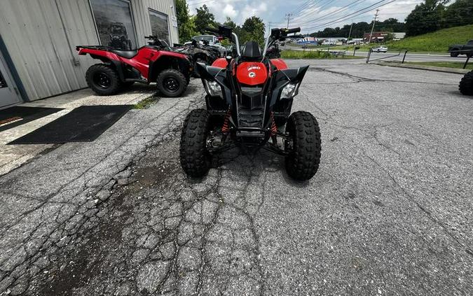 2025 Can-Am® DS 250